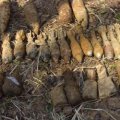 Безопасные боеприпасы