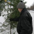 Кемеровчан призвали создавать "елки будущего"  