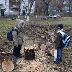 'Медвежья