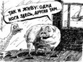 Конокрады продали коня… по частям