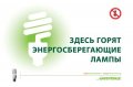 Куда деть перегоревшую энергосберегающую лампу?