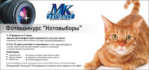 «Котовыборы» - новый фотоконкурс на нашем сайте